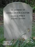 image of grave number 165366